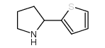 2-(Thiophen-2-yl)pyrrolidine picture