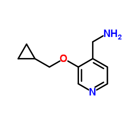 (3-(cyclopropylmethoxy)pyridin-4-yl)methanamine picture