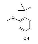 4-tert-butyl-3-methoxyphenol结构式