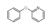 2-Phenoxypyridine Structure