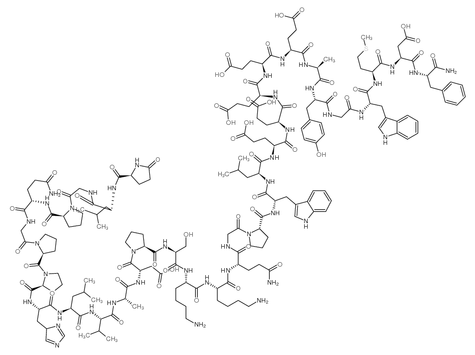 Big Gastrin I Human structure