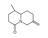 (1R,9aS)-1-Methyl-7-methyleneoctahydro-4H-quinolizin-4-one Structure