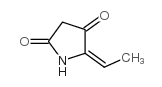 2,4-Pyrrolidinedione,5-ethylidene-,(E)-(9CI)结构式