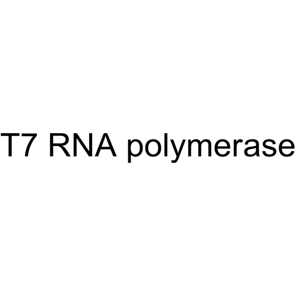 T7 RNA polymerase picture