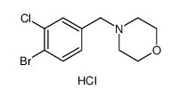 4-[(4-Bromo-3-chlorophenyl)methyl]-morpholine hydrochloride结构式