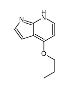 1011711-58-2 structure