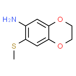 7-(Methylsulfanyl)-2,3-dihydro-1,4-benzodioxin-6-amine picture