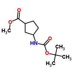 Cyclopentanecarboxylic acid, 3-[[(1,1-dimethylethoxy)carbonyl]amino]-, Methyl ester picture