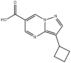 3-Cyclobutylpyrazolo[1,5-a]pyrimidine-6-carboxylic acid结构式