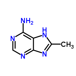 8-甲基-7H-嘌呤-6-胺图片