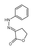 2-phenylhydrazono-γ-butyrolactone结构式