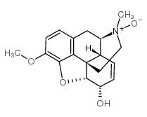 Codeine N-Oxide picture