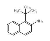 1-叔丁基萘-2-胺图片