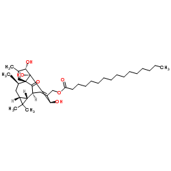 ingenol-20-hexadecanoate structure