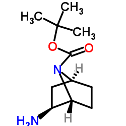 rel-叔丁基(1R,2S,4S)-2-氨基-7-氮杂双环[2.2.1]庚烷-7-羧酸图片