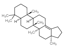 22,29,30-三去甲新何帕-13(18)-烯结构式