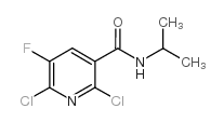 2,6-DICHLORO-5-FLUORO-N-ISOPROPYLNICOTINAMIDE picture