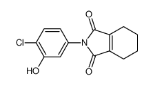 N-(3-hydroxy-4-chlorophenyl)-3,4,5,6-tetrahydrophthalimide结构式