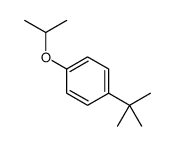 1-tert-butyl-4-propan-2-yloxybenzene结构式