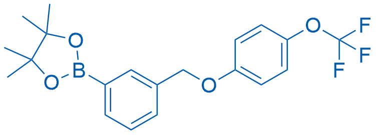 4,4,5,5-Tetramethyl-2-(3-((4-(trifluoromethoxy)phenoxy)methyl)phenyl)-1,3,2-dioxaborolane picture