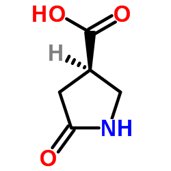 (3R)-5-Oxo-3-pyrrolidinecarboxylic acid picture