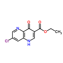 Ethyl 7-chloro-4-oxo-1,4-dihydro-1,5-naphthyridine-3-carboxylate结构式