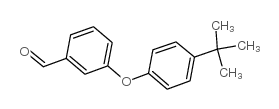 3-(4-叔丁基苯氧基)苯甲醛图片