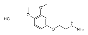 2-(3,4-dimethoxyphenoxy)ethylhydrazine,hydrochloride Structure