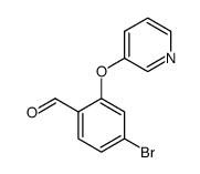 1000392-61-9 structure