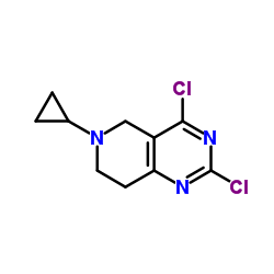 2,4-Dichloro-6-cyclopropyl-5,6,7,8-tetrahydropyrido[4,3-d]pyrimidine picture