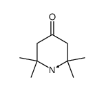 2,2,6,6-Tetramethyl-4-oxo-piperidyl-radikal Structure