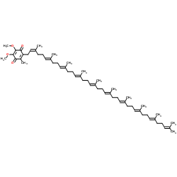 U705VLF0VW Structure