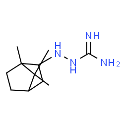 Guanidine, (2-bornylamino)-, (+)- (8CI) picture