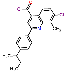 2-(4-sec-Butylphenyl)-7-chloro-8-methyl-4-quinolinecarbonyl chloride picture