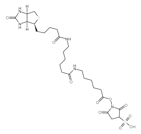 180028-78-8 structure