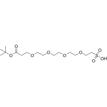 Boc-PEG4-sulfonic acid图片