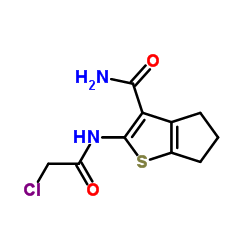 2-(2-CHLORO-ACETYLAMINO)-5,6-DIHYDRO-4 H-CYCLOPENTA[ B ]THIOPHENE-3-CARBOXYLIC ACID AMIDE结构式