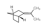 3-propan-2-ylidenebicyclo[2.2.1]heptane Structure