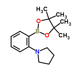 1-(2-(4,4,5,5-tetramethyl-1,3,2-dioxaborolan-2-yl)phenyl)pyrrolidine picture