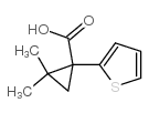 2,2-dimethyl-1-thiophen-2-ylcyclopropane-1-carboxylic acid structure