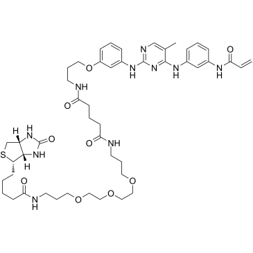 CNX-500 structure