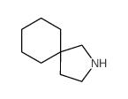 2-Azaspiro[4.5]decane structure