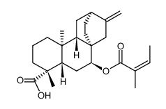 (4R,5β,8α,9β,10α,12α)-7β-[[(Z)-2-Methyl-1-oxo-2-butenyl]oxy]atis-16-en-18-oic acid Structure