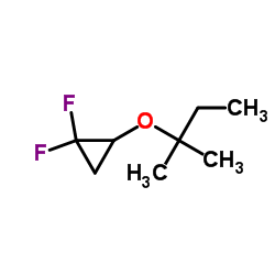 Cyclopropane, 2-(1,1-dimethylpropoxy)-1,1-difluoro- (9CI) picture