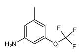 3-Methyl-5-(trifluoromethoxy)a结构式