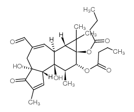 PDBuAL Structure