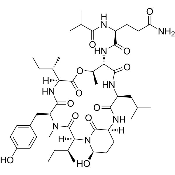 1122484-55-2 structure