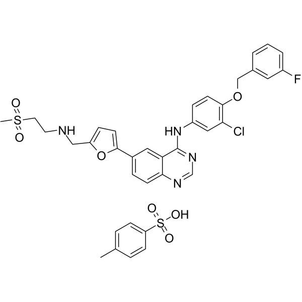 Lapatinib (4-Methylbenzenesulfonate)结构式