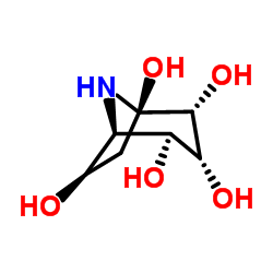 Calystegine C2 structure