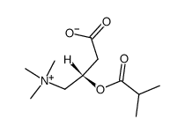 Isobutyroyl Carnitine Structure